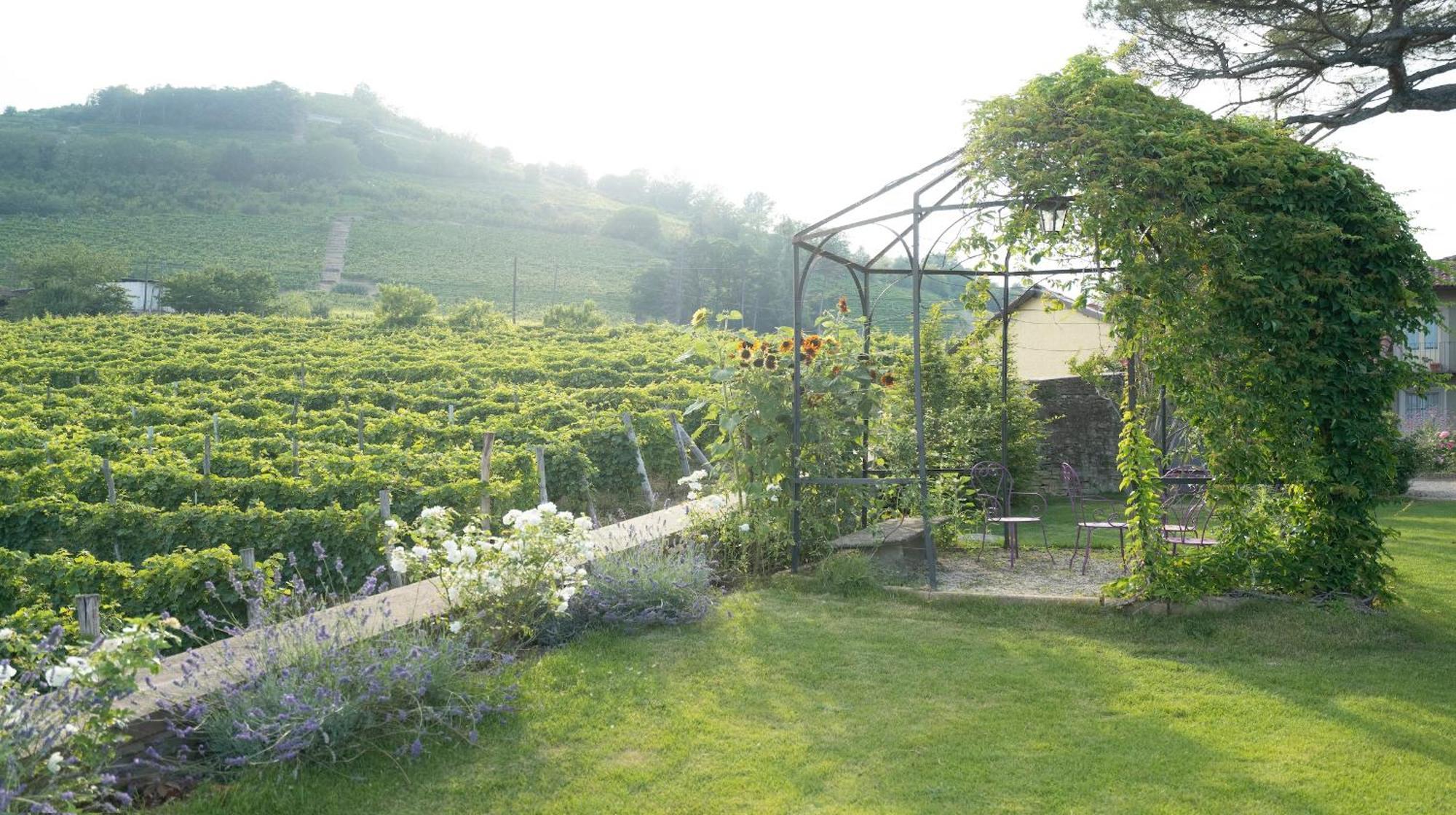 Гостьовий будинок Vigne Di Fagnano 1709 Eco Relais Санто-Стефано-Бельбо Екстер'єр фото