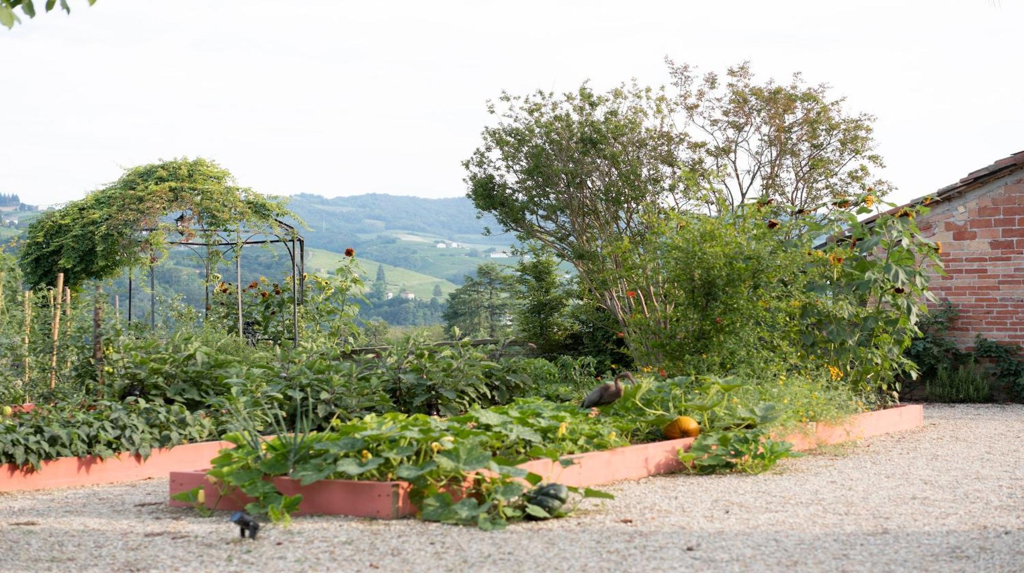 Гостьовий будинок Vigne Di Fagnano 1709 Eco Relais Санто-Стефано-Бельбо Екстер'єр фото